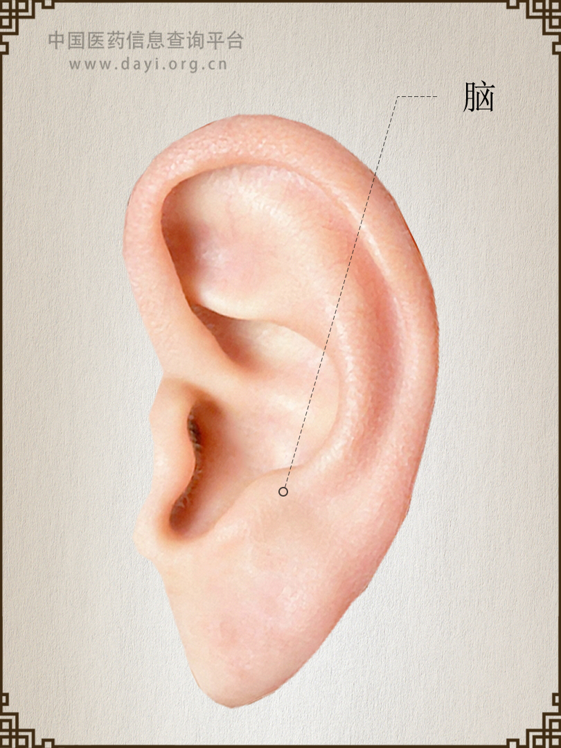 脑点耳