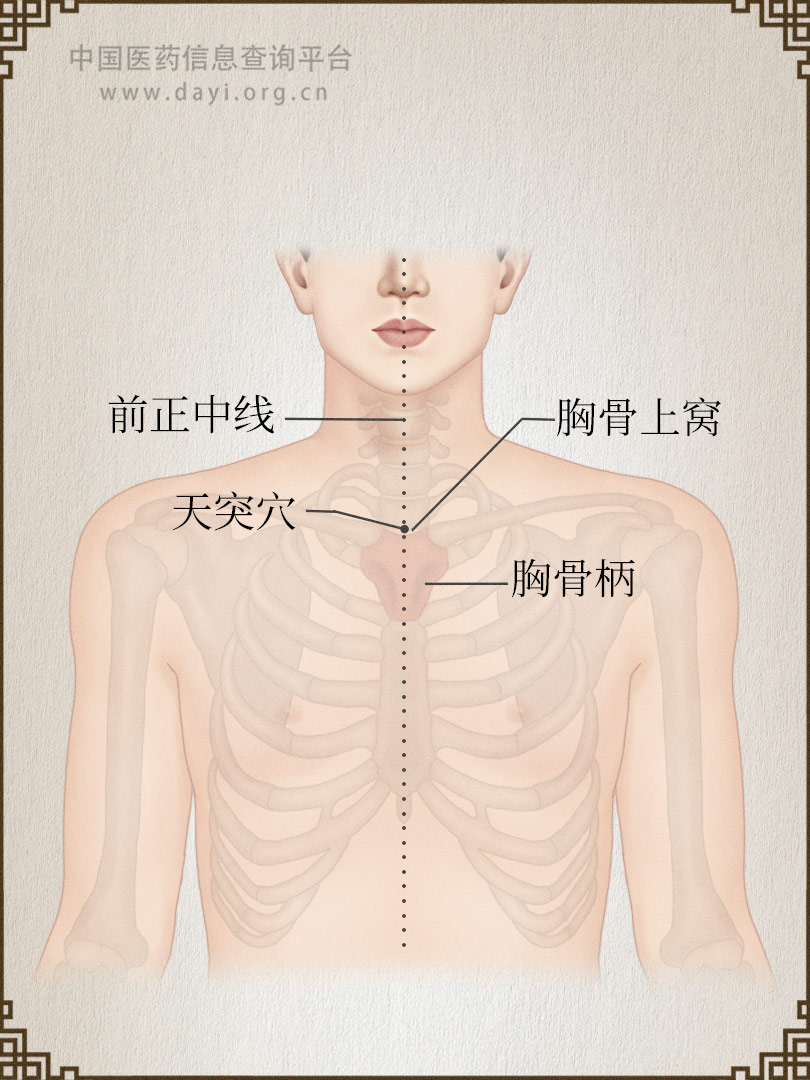 天突