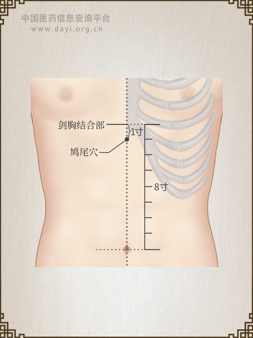 鸠尾