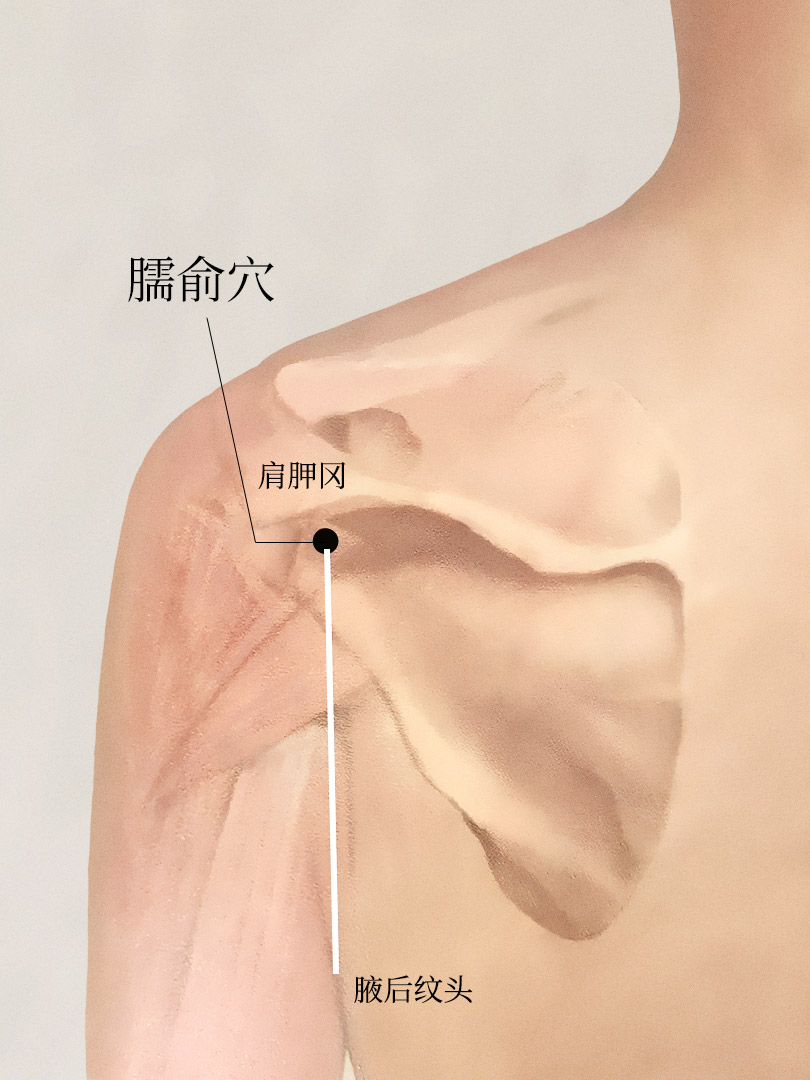 臑俞