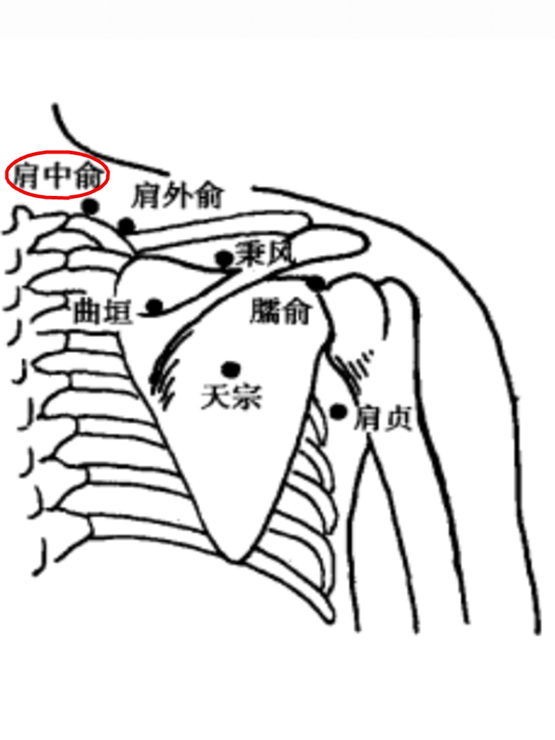 肩中俞