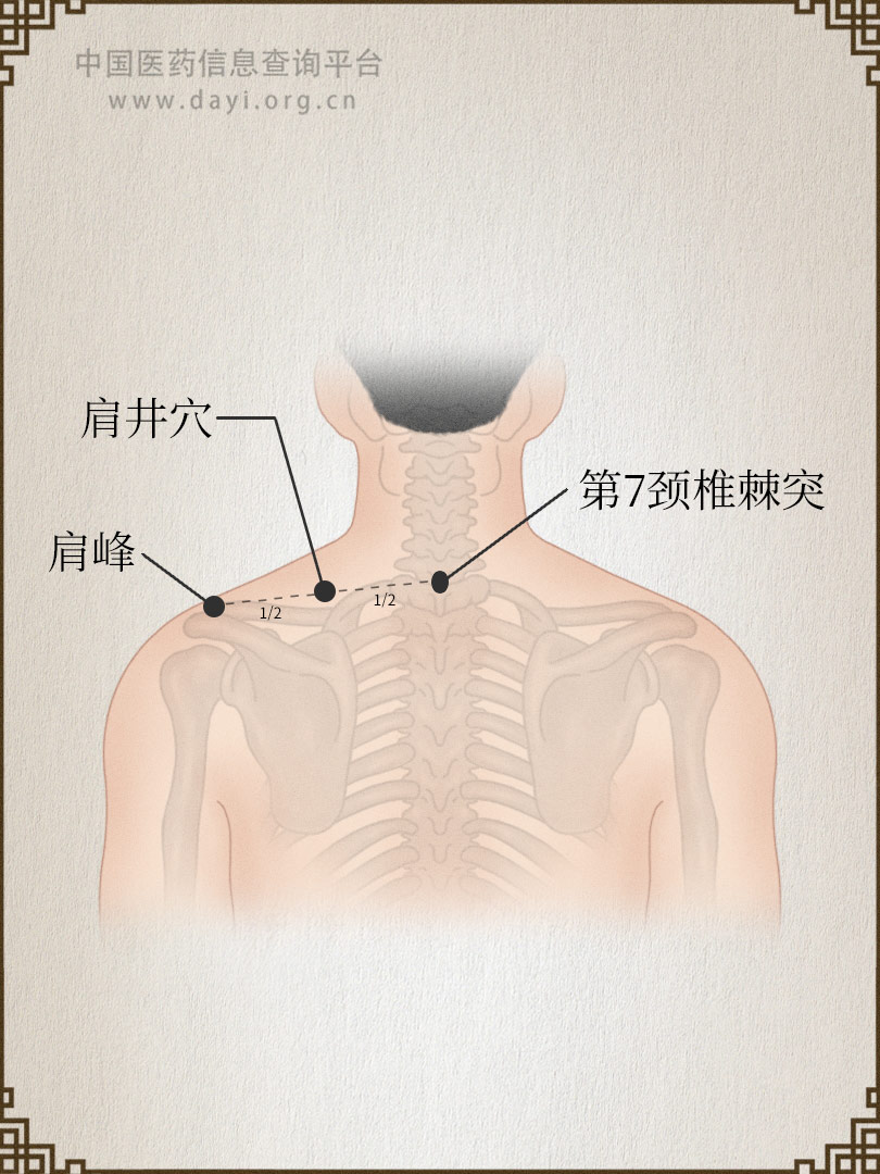 肩井