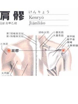 肩髎