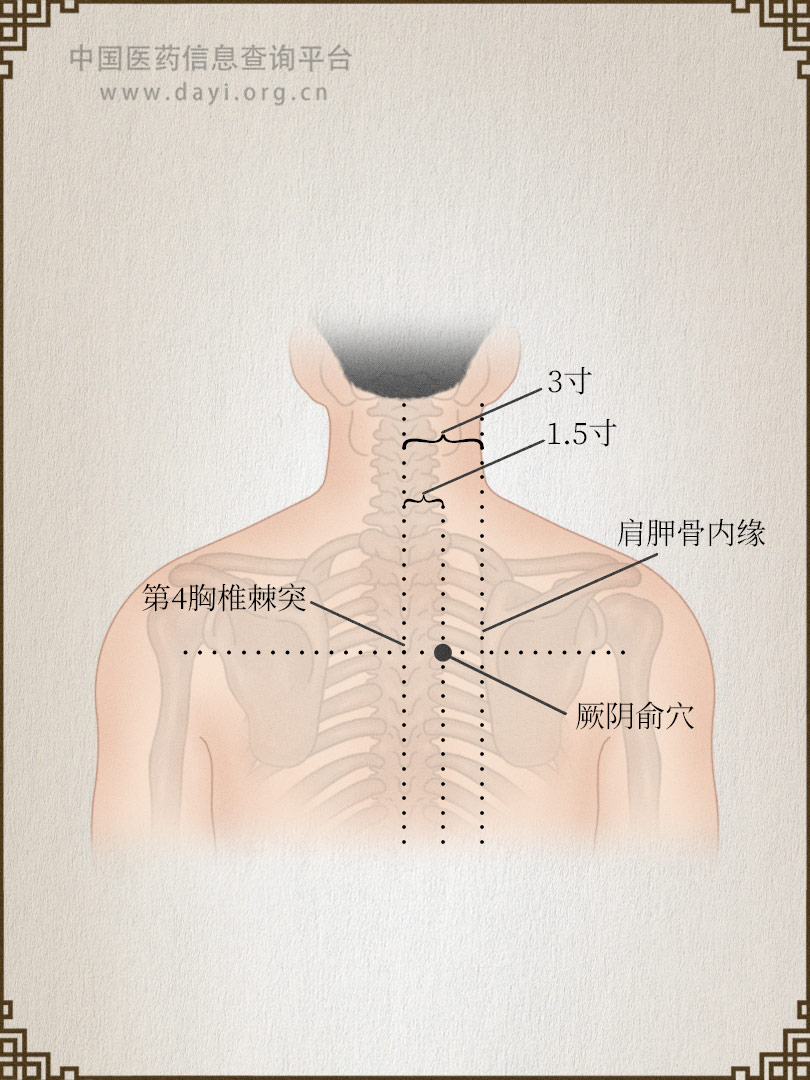 厥阴俞