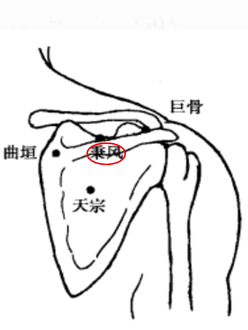 秉风