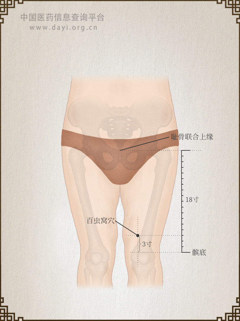 百虫窝