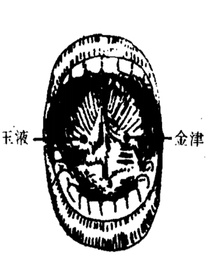 金津玉液
