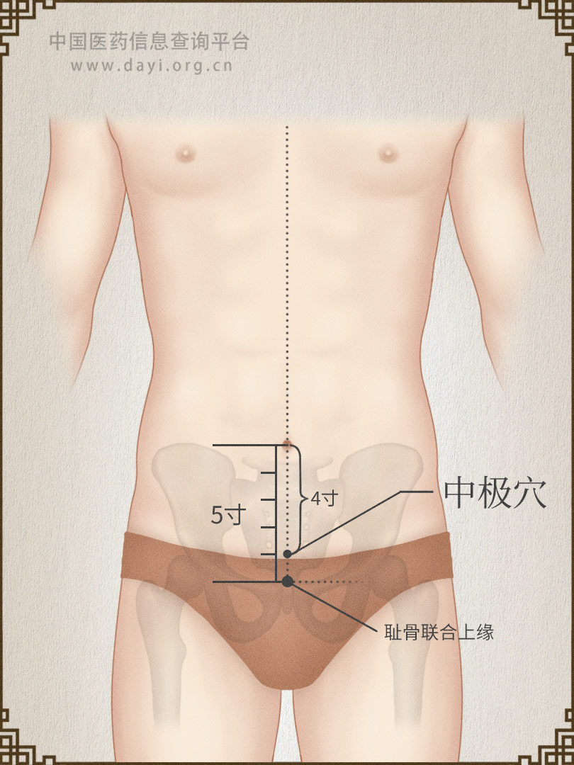 中极