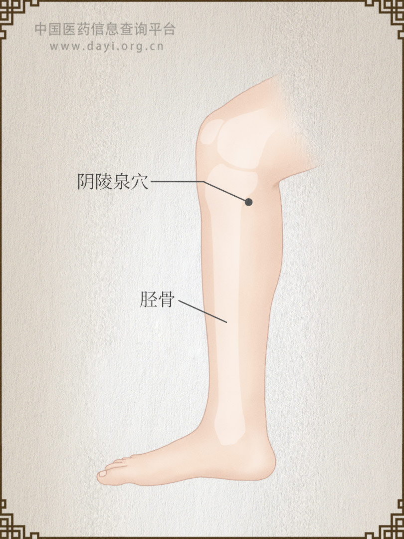 阴陵泉