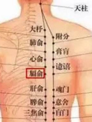 膈俞