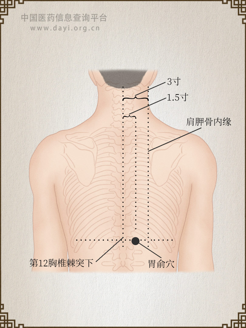 胃俞