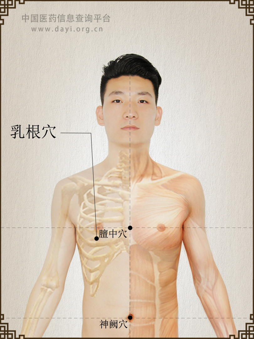 乳根