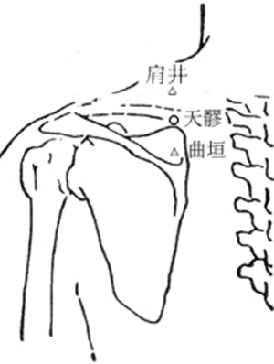 天髎