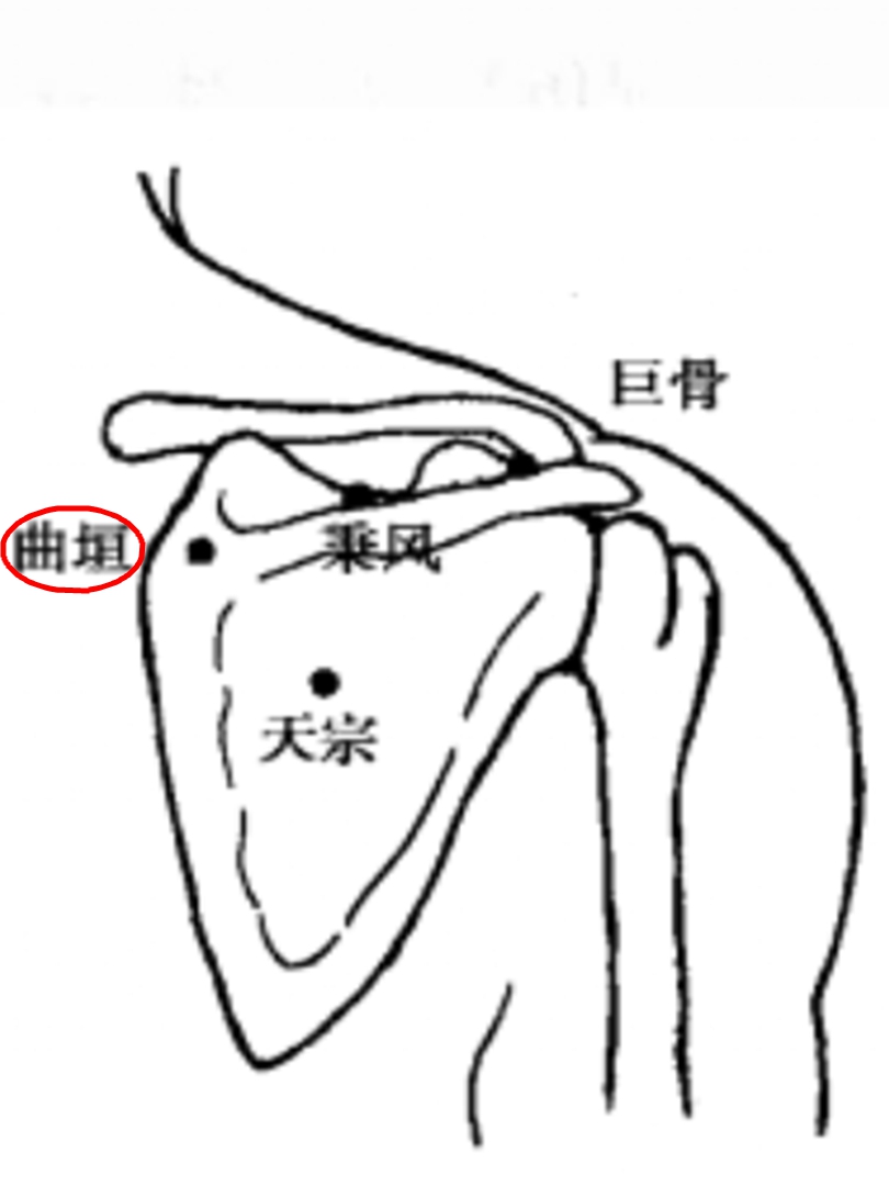 曲垣