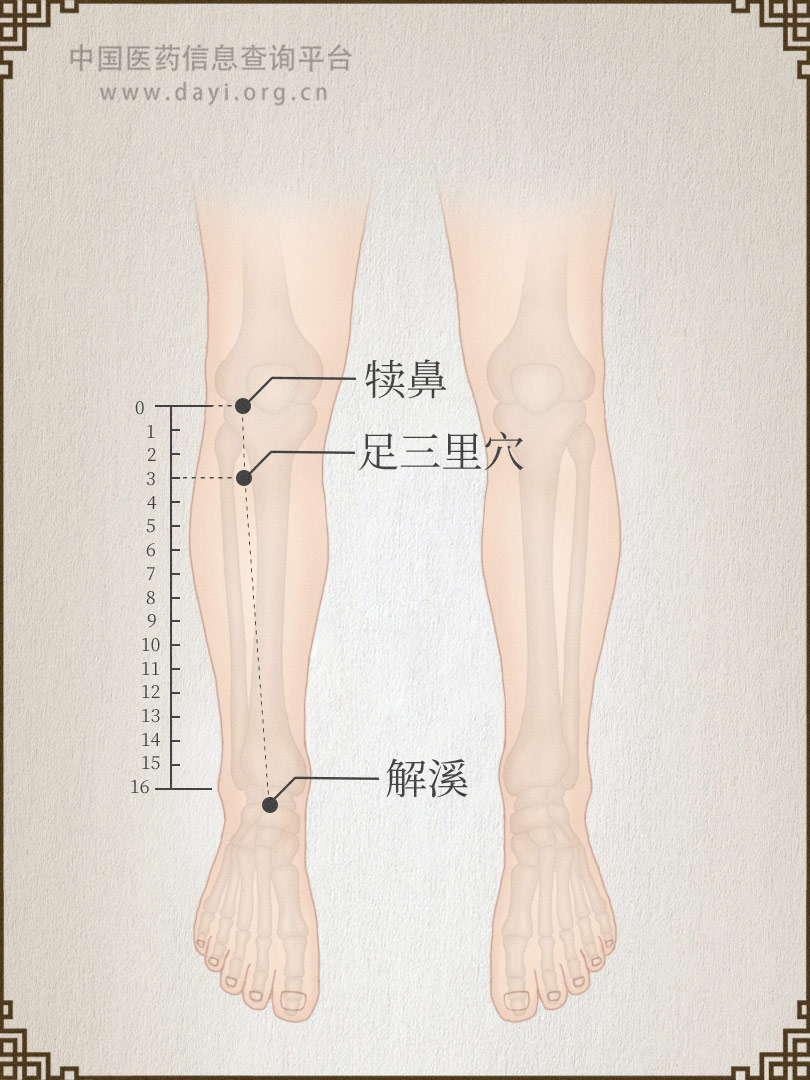 足三里