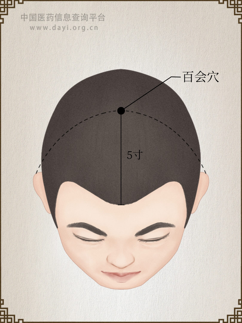 百会
