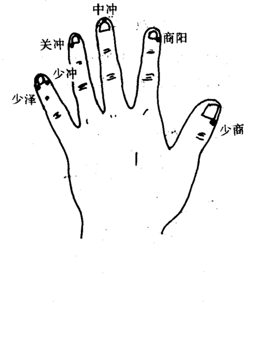 十二井