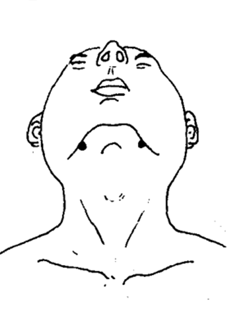 蛾根