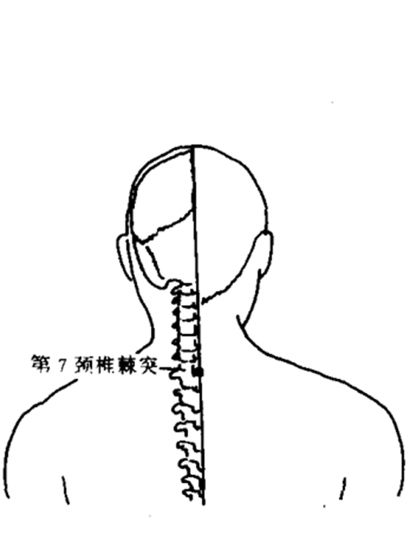 顶椎