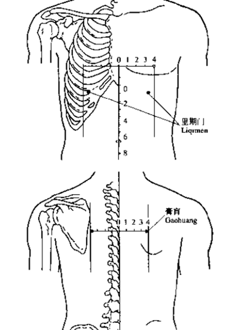 里四灵