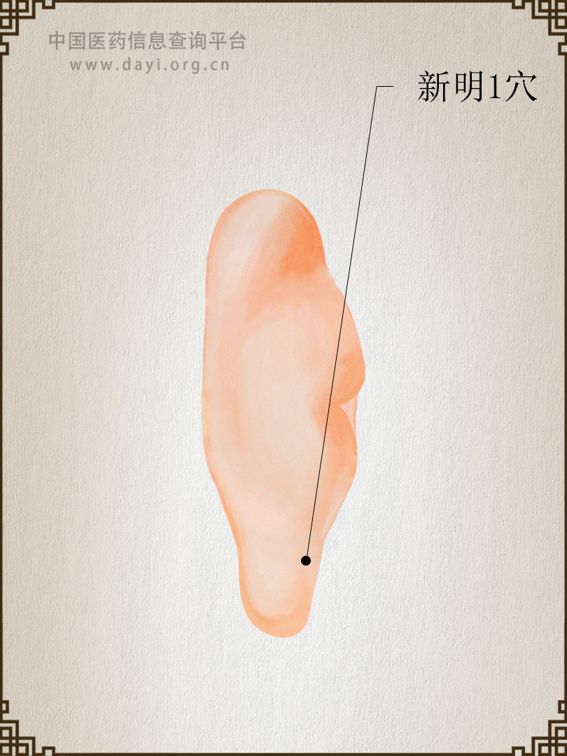 新明1