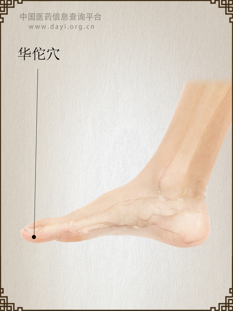 华佗