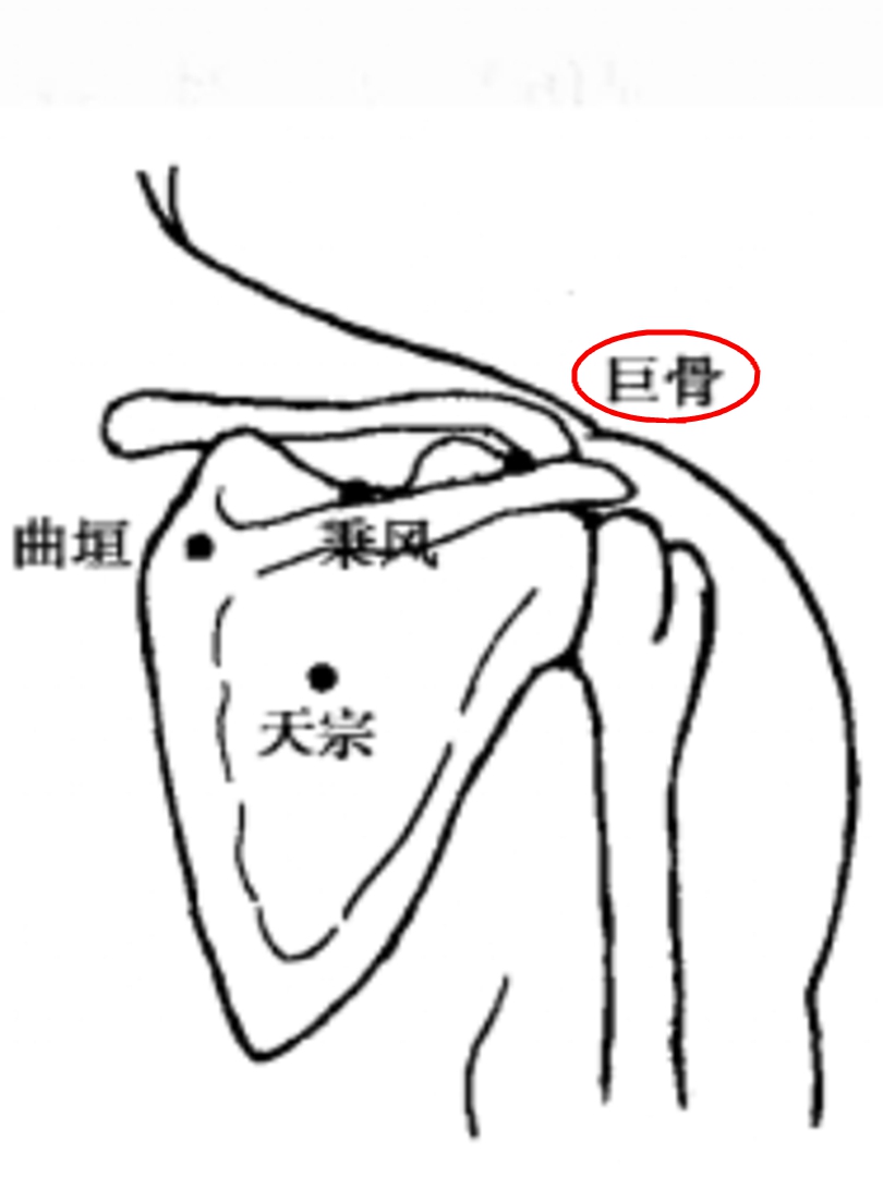 巨骨