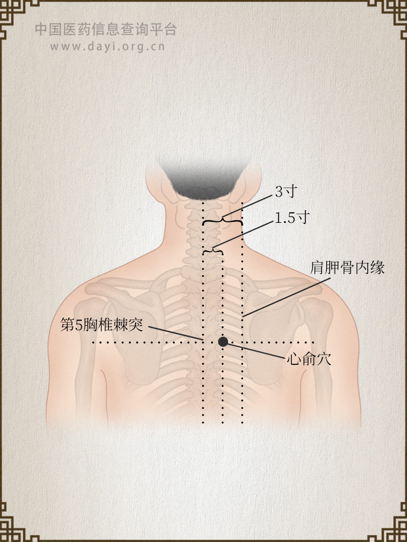 心俞