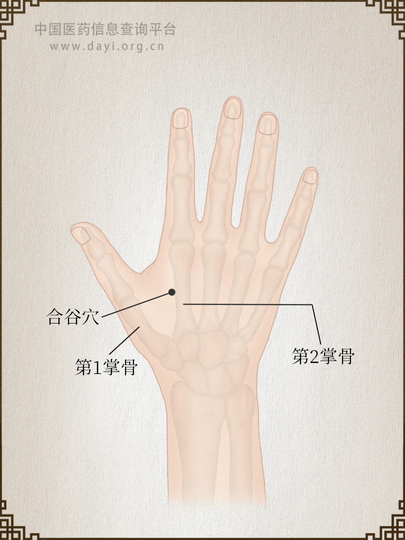合谷