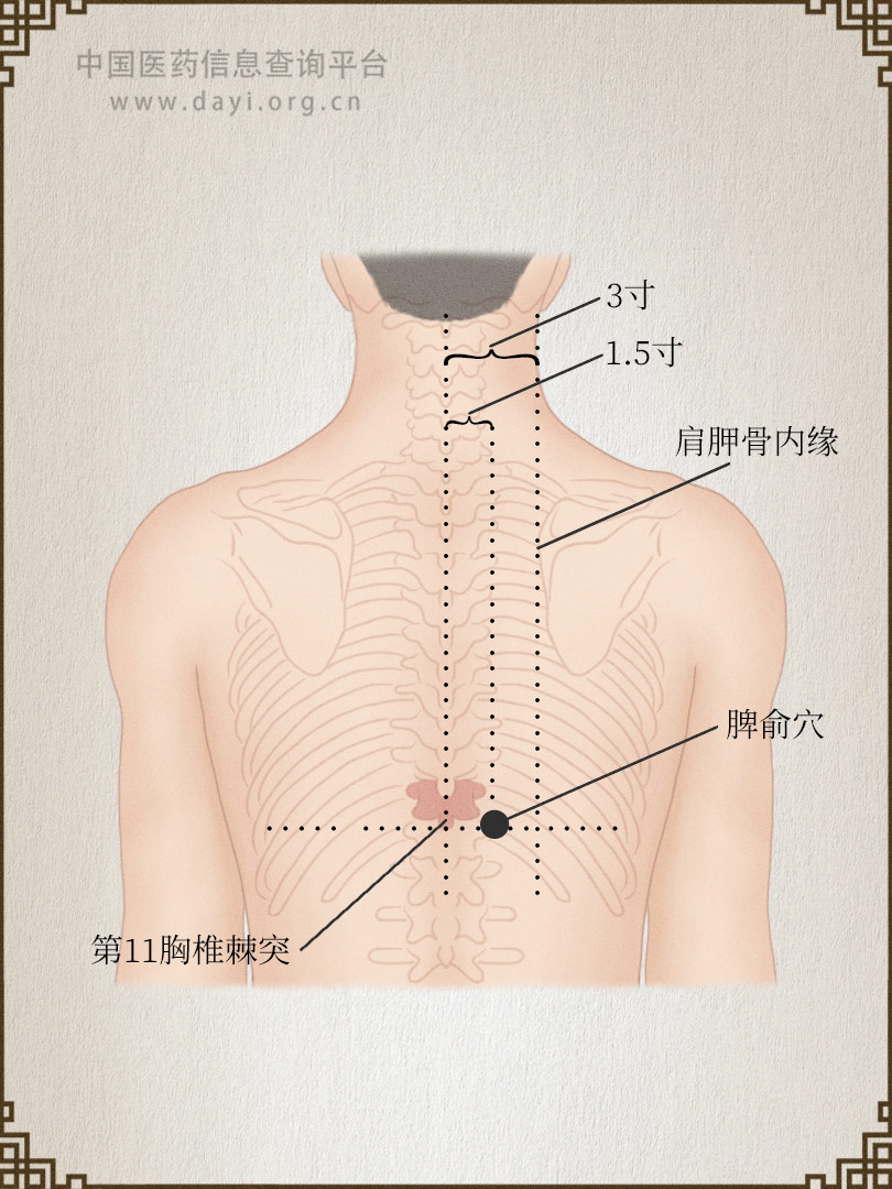 脾俞