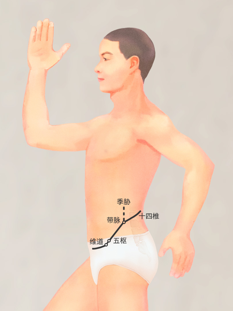 带脉
