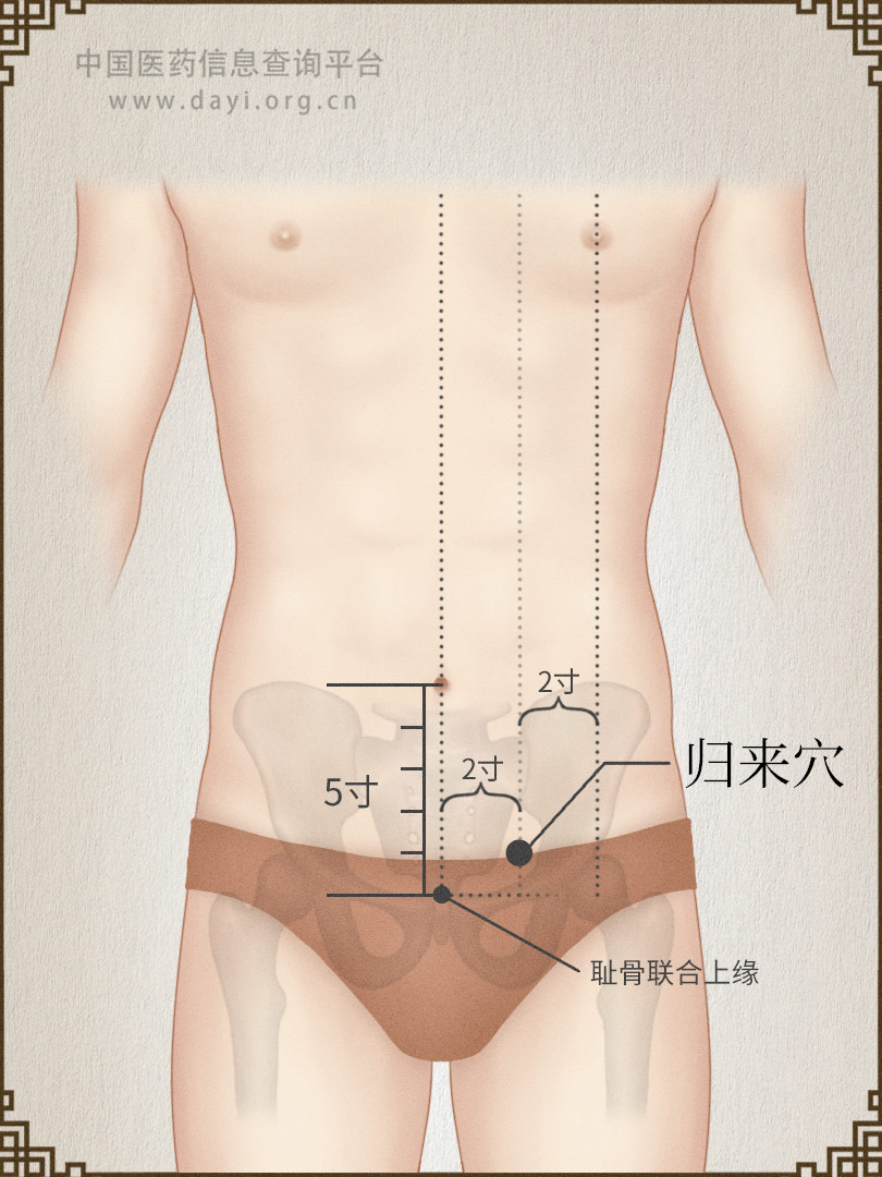 归来