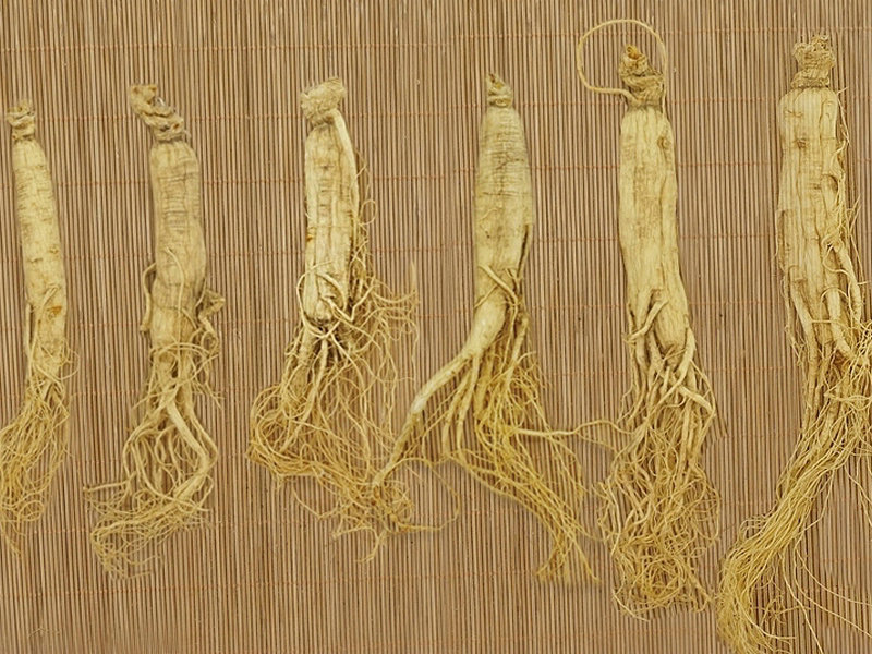 人参