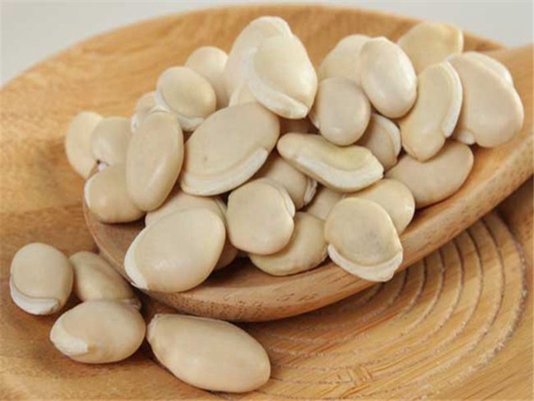 白扁豆