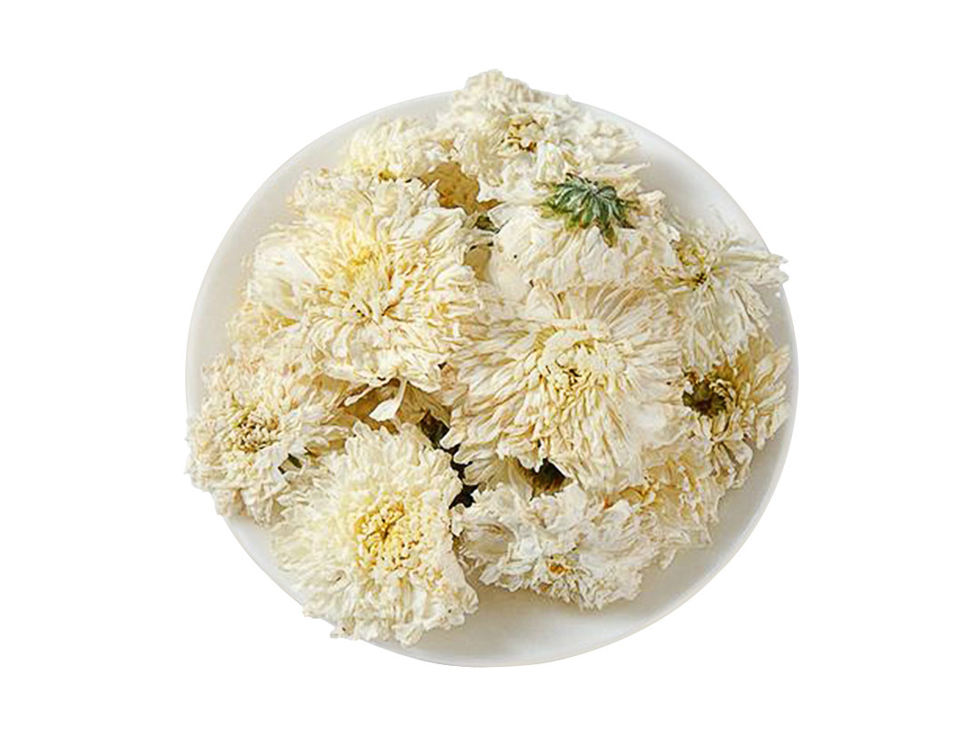 杭白菊