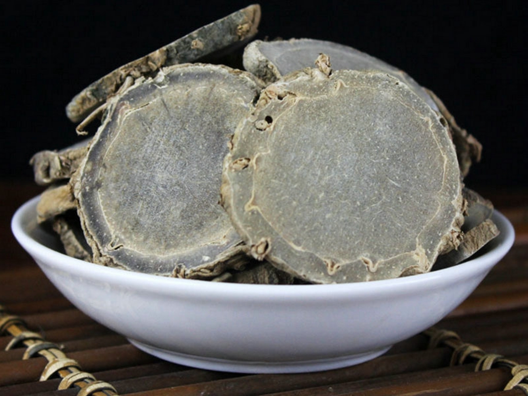 莪术