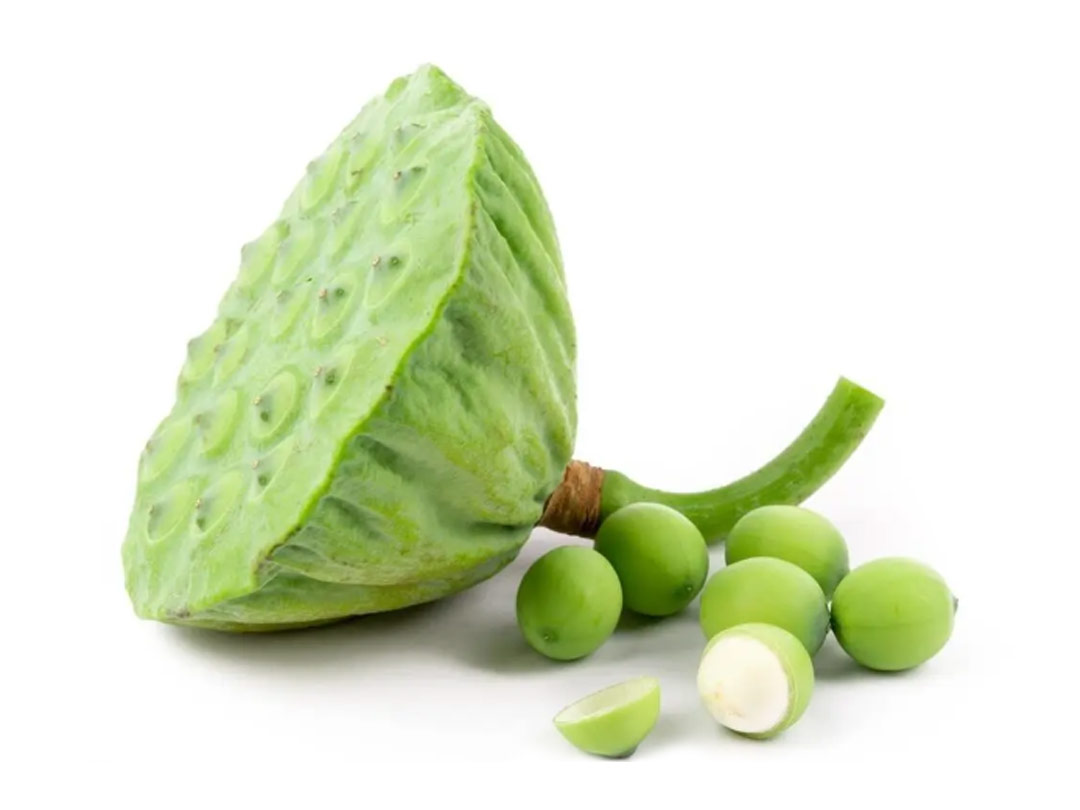 莲子