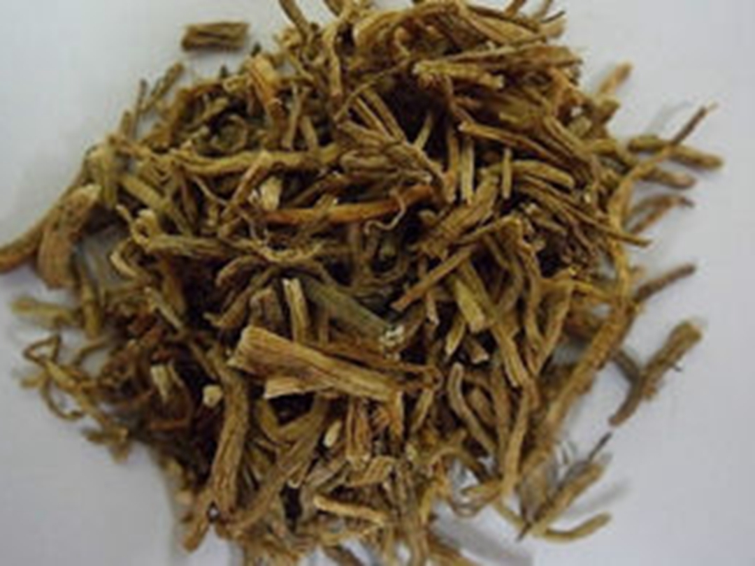 龙胆草