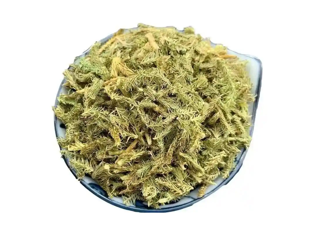 伸筋草