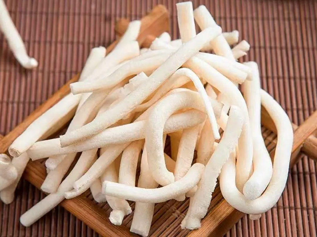 通草